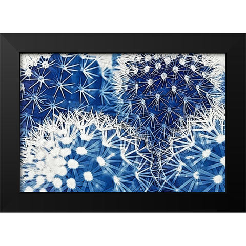 Blue and Prickly II  Black Modern Wood Framed Art Print by Vincze