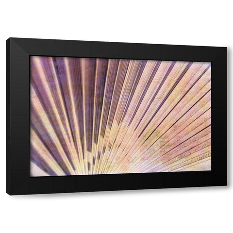 Palm Leaf Elements II Black Modern Wood Framed Art Print with Double Matting by Vincze