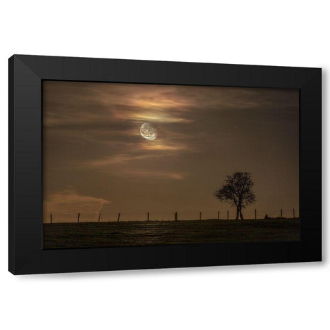 Moon Tree Black Modern Wood Framed Art Print by Nocturna