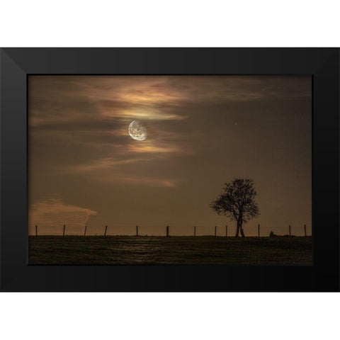 Moon Tree Black Modern Wood Framed Art Print by Nocturna