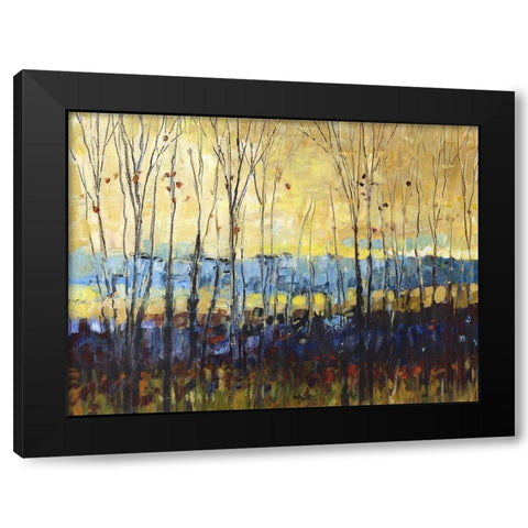 A field through trees Black Modern Wood Framed Art Print with Double Matting by Kroeker, Wendy