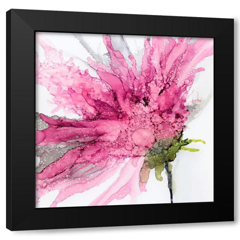 Pink Spider Flower Black Modern Wood Framed Art Print with Double Matting by Kroker, Wendy