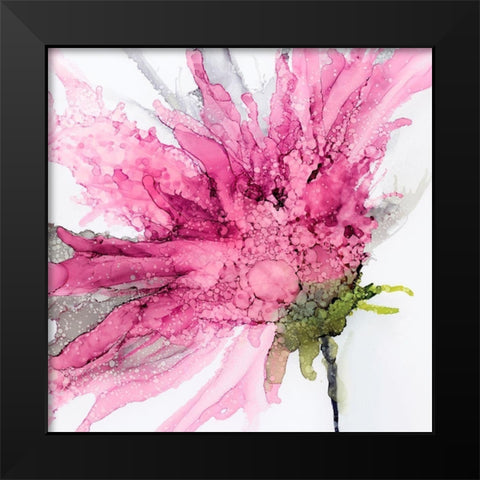 Pink Spider Flower Black Modern Wood Framed Art Print by Kroker, Wendy