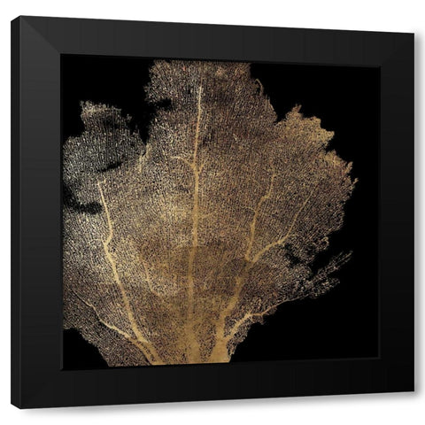 Honey Comb Coral I Black Modern Wood Framed Art Print with Double Matting by Wilson, Aimee