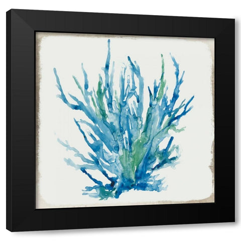 Blue Coral II Black Modern Wood Framed Art Print with Double Matting by Wilson, Aimee