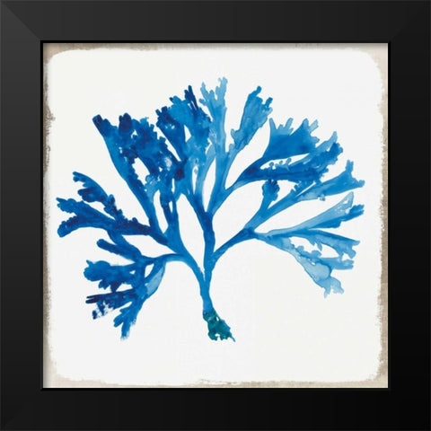 Blue Coral IV  Black Modern Wood Framed Art Print by Wilson, Aimee