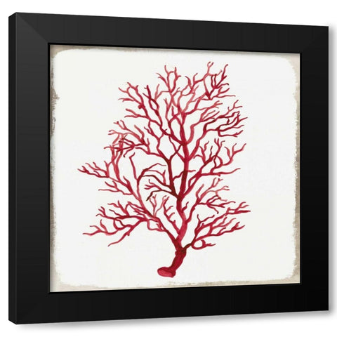 Red Coral III Black Modern Wood Framed Art Print with Double Matting by Wilson, Aimee