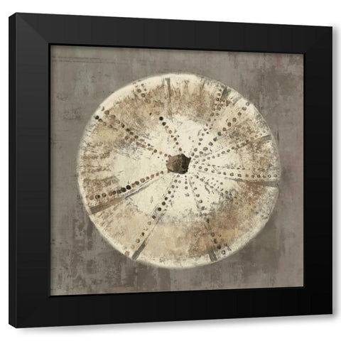 Sand Dollar I Black Modern Wood Framed Art Print by Wilson, Aimee