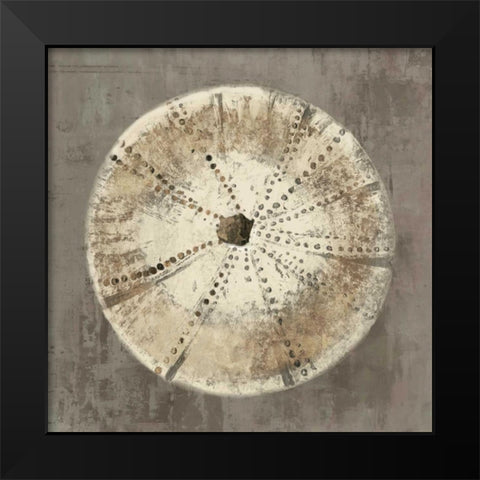 Sand Dollar I Black Modern Wood Framed Art Print by Wilson, Aimee