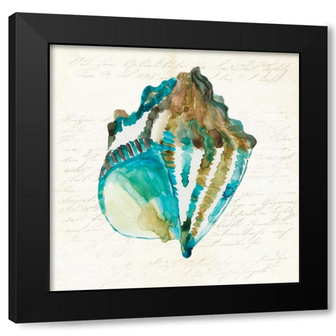 Shell Black Modern Wood Framed Art Print with Double Matting by Wilson, Aimee