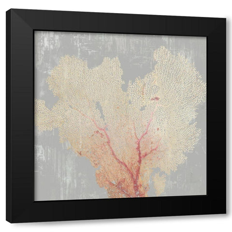 Blush Coral I  Black Modern Wood Framed Art Print by Wilson, Aimee