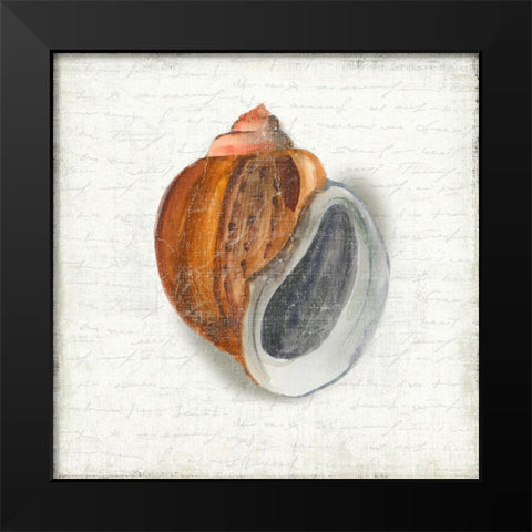 Seashell Portrait I Black Modern Wood Framed Art Print by Wilson, Aimee