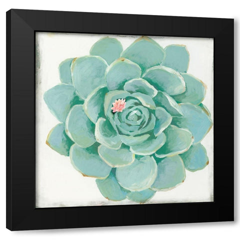 Pastel Succulent I Black Modern Wood Framed Art Print with Double Matting by Wilson, Aimee