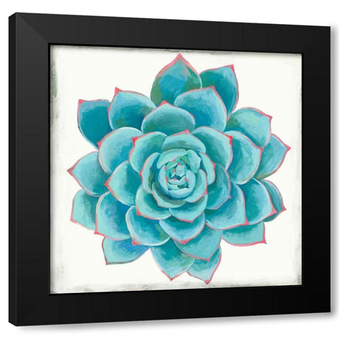 Pastel Succulent II Black Modern Wood Framed Art Print with Double Matting by Wilson, Aimee