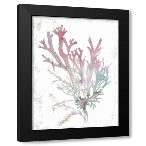 Pink Coral  Black Modern Wood Framed Art Print with Double Matting by Wilson, Aimee