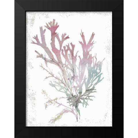 Pink Coral  Black Modern Wood Framed Art Print by Wilson, Aimee