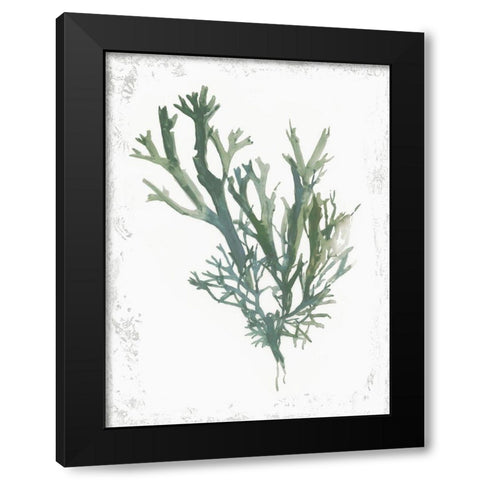 Emerald Coral I  Black Modern Wood Framed Art Print by Wilson, Aimee