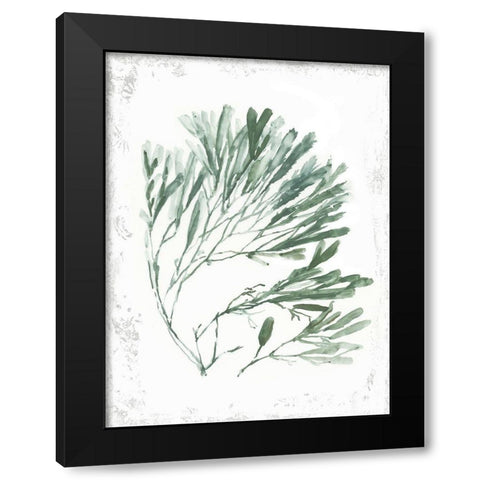 Emerald Coral II  Black Modern Wood Framed Art Print with Double Matting by Wilson, Aimee