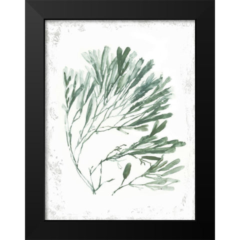 Emerald Coral II  Black Modern Wood Framed Art Print by Wilson, Aimee