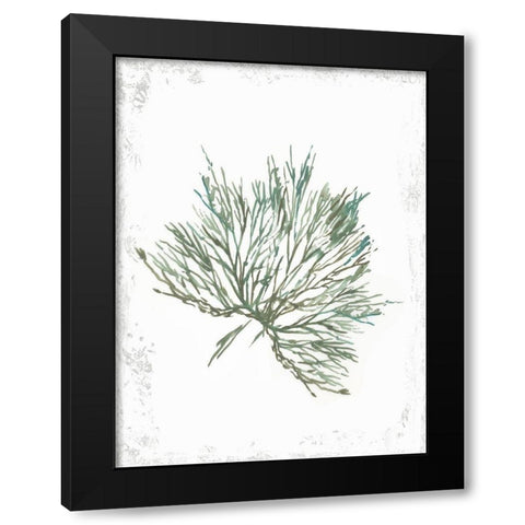 Emerald Coral III  Black Modern Wood Framed Art Print with Double Matting by Wilson, Aimee