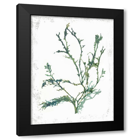 Emerald Coral IV Black Modern Wood Framed Art Print with Double Matting by Wilson, Aimee