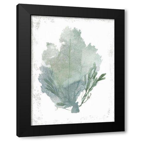 Teal Delicate Coral I  Black Modern Wood Framed Art Print with Double Matting by Wilson, Aimee