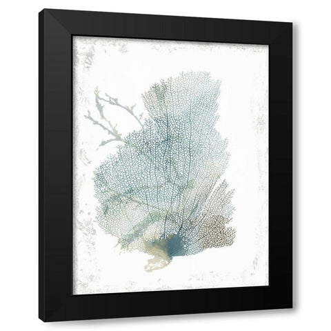Teal Delicate Coral II  Black Modern Wood Framed Art Print with Double Matting by Wilson, Aimee