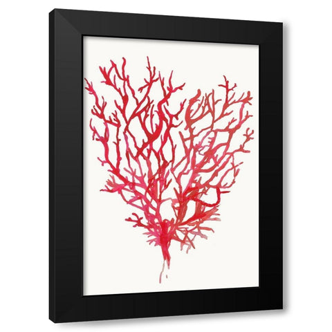 Red Reef Coral II  Black Modern Wood Framed Art Print with Double Matting by Wilson, Aimee