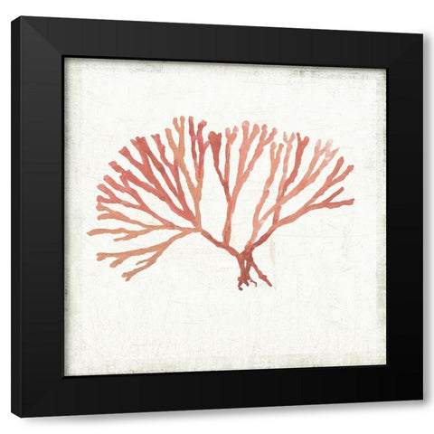 Ocean Gifts I Black Modern Wood Framed Art Print by Wilson, Aimee