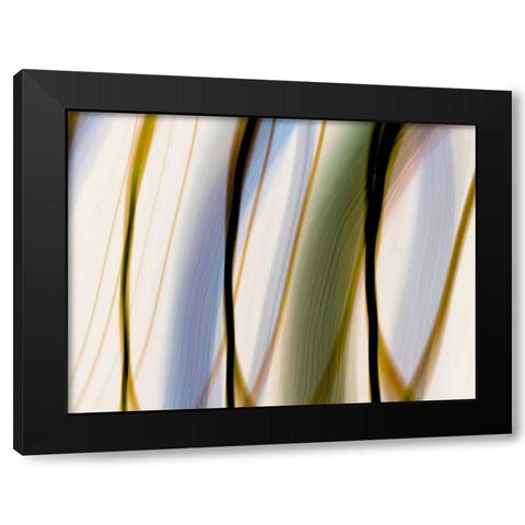 Silk Waves I Black Modern Wood Framed Art Print by Cooke, William