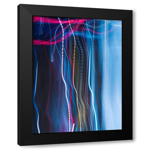 Stems II Black Modern Wood Framed Art Print by Cooke, William