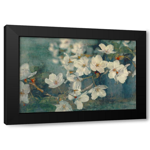 Sweet Spring I Black Modern Wood Framed Art Print with Double Matting by Cooke, William