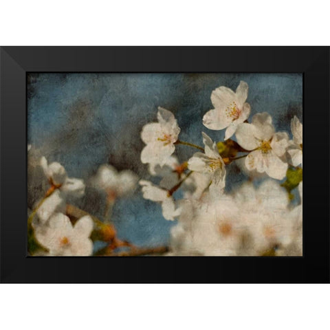 Early Dew Black Modern Wood Framed Art Print by Cooke, William