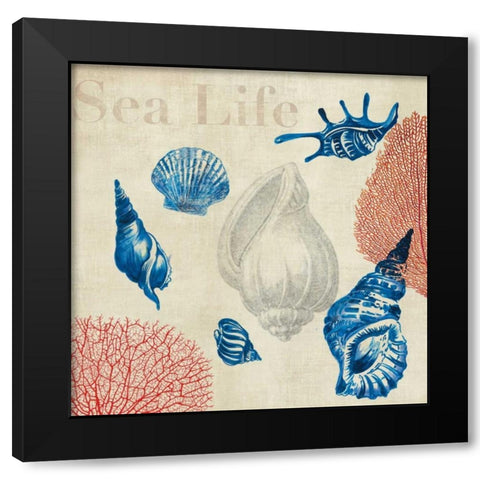 Sea Life Study Black Modern Wood Framed Art Print with Double Matting by Wilson, Aimee
