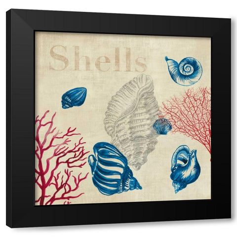 Shell Study Black Modern Wood Framed Art Print with Double Matting by Wilson, Aimee