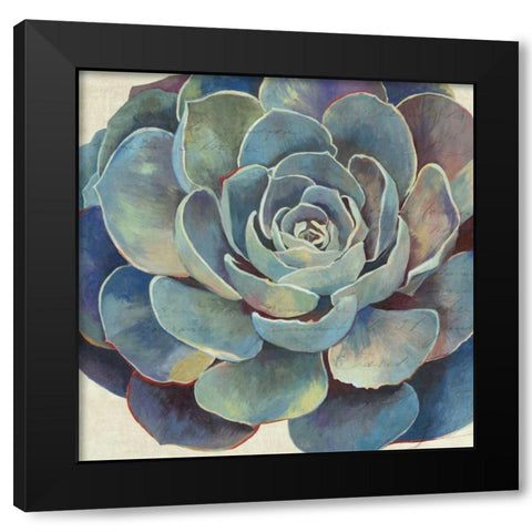 Succulence I - Mini Black Modern Wood Framed Art Print with Double Matting by Wilson, Aimee