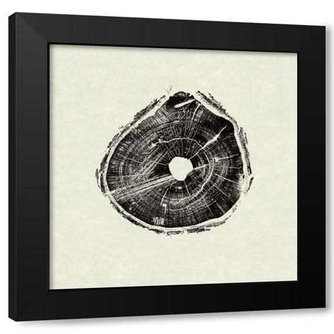 Muskoka Woods III Black Modern Wood Framed Art Print with Double Matting by Yiu, Wendy