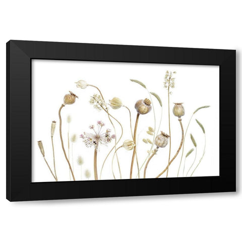 PODS Black Modern Wood Framed Art Print by Disher