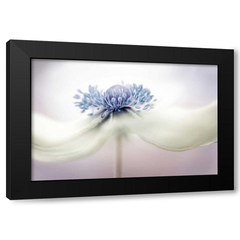 Disher - Anemone Black Modern Wood Framed Art Print by 1x