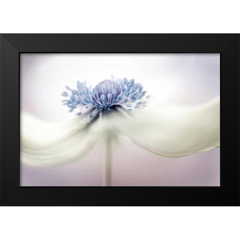 Disher - Anemone Black Modern Wood Framed Art Print by 1x