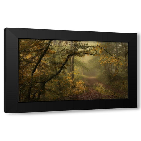 Maier - A Sorrow Beyond Dreams  Black Modern Wood Framed Art Print with Double Matting by 1x