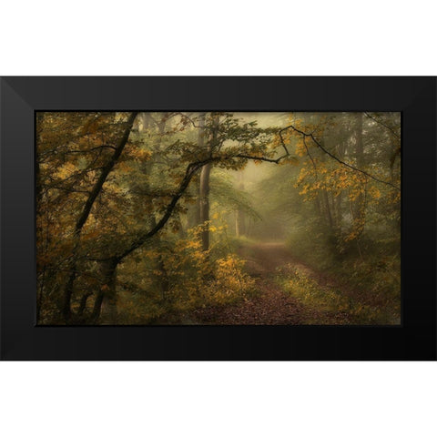 Maier - A Sorrow Beyond Dreams  Black Modern Wood Framed Art Print by 1x