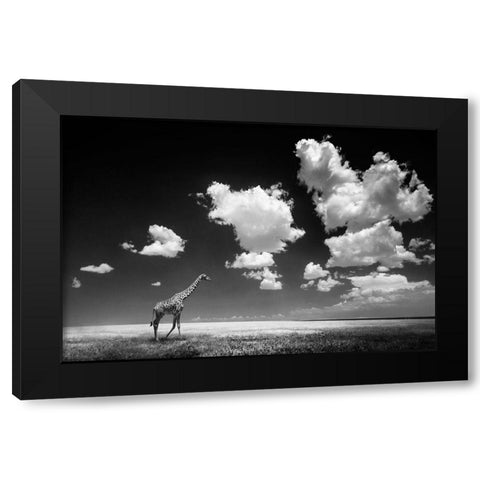 Ghizzi Panizza -Gone with the Clouds Black Modern Wood Framed Art Print with Double Matting by 1x
