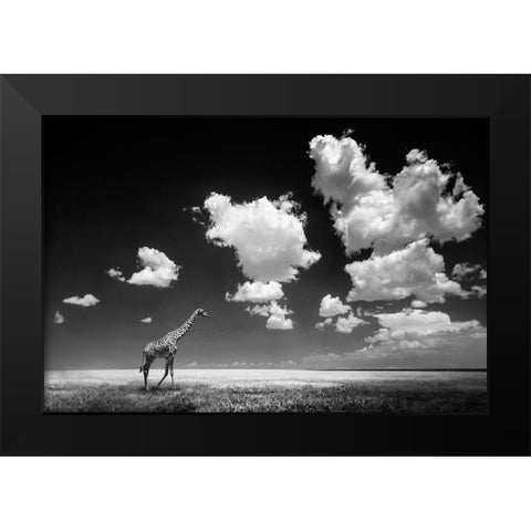 Ghizzi Panizza -Gone with the Clouds Black Modern Wood Framed Art Print by 1x