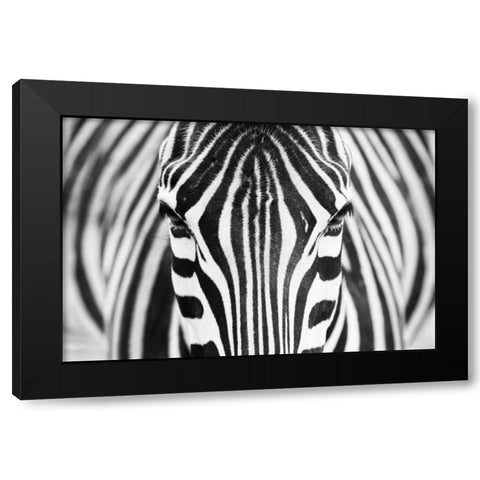 Alhumaid Black Modern Wood Framed Art Print with Double Matting by 1x