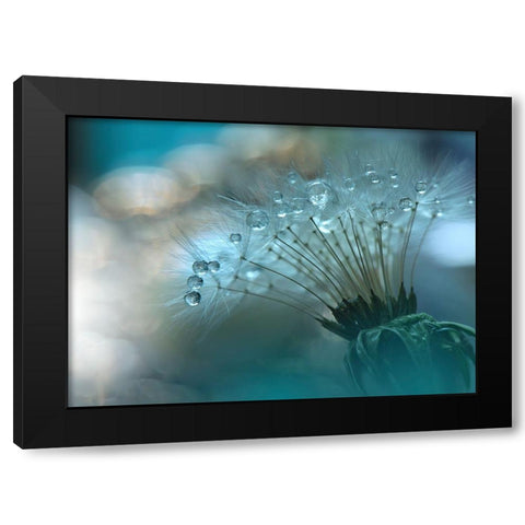 Nan Black Modern Wood Framed Art Print by 1X