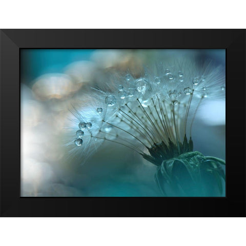 Nan Black Modern Wood Framed Art Print by 1X