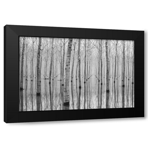 Novembre 2014 Black Modern Wood Framed Art Print with Double Matting by Simone