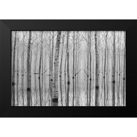 Novembre 2014 Black Modern Wood Framed Art Print by Simone