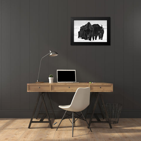 European Bizons Black Modern Wood Framed Art Print by 1x